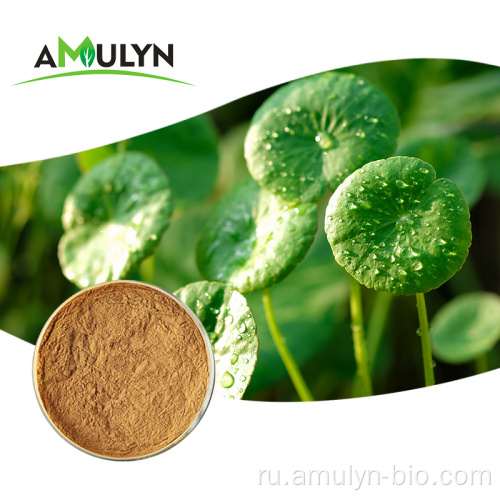 Asiaticosides Gotu Kola Extract Экстракт центеллы азиатской